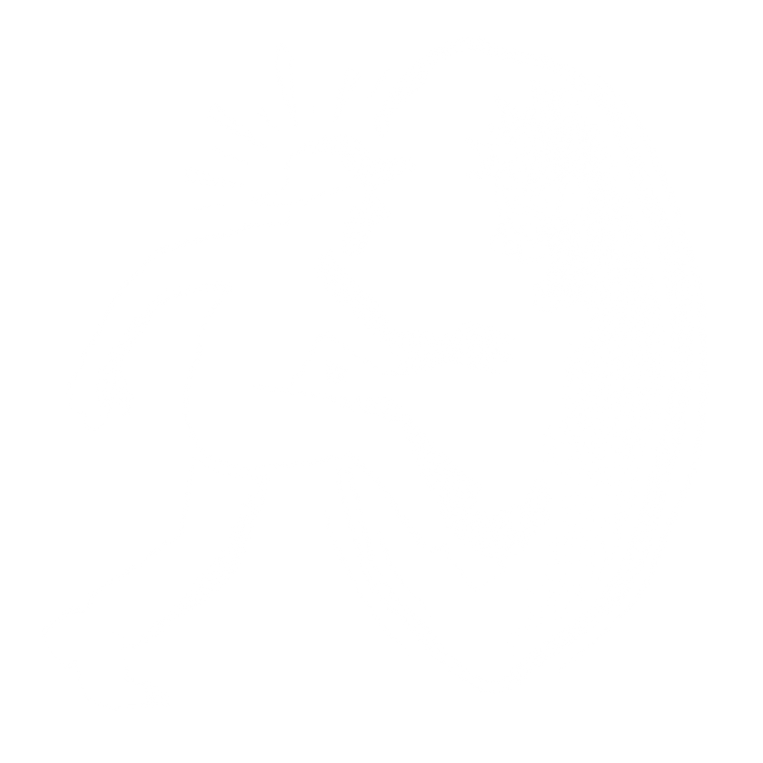 Mirrorchol Logo